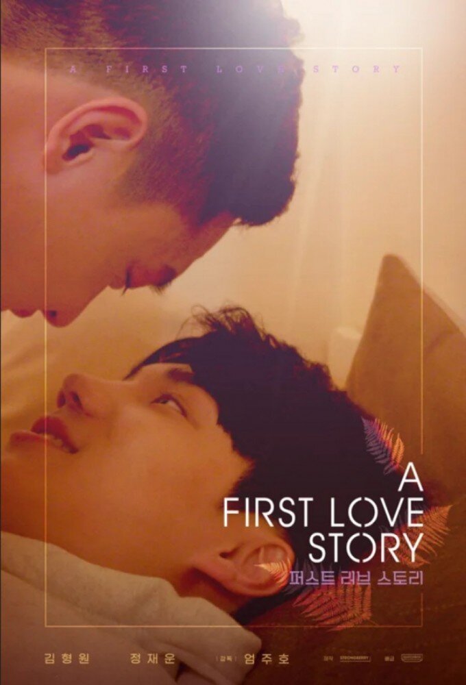 A First Love Story海报